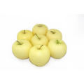 China golden delicious apple supplier